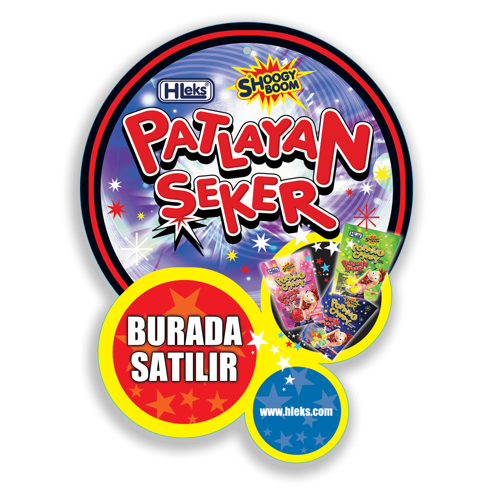 Çalışmalar